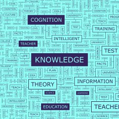 Knowledge N8