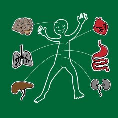 Anatomy diagram blackboard