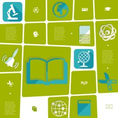 Education flat infographic N36