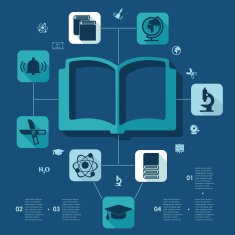 Education flat infographic N41