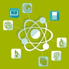 Education flat infographic N49