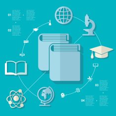 Education flat infographic N52