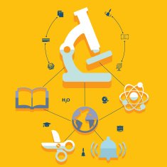 Education flat infographic N62