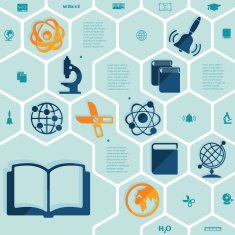 Education flat infographic N65