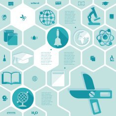 Education flat infographic N78
