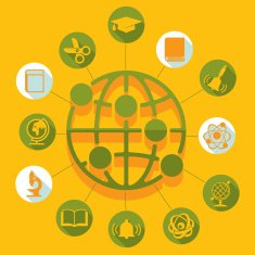 Education flat infographic N83