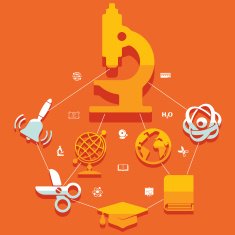Education flat infographic N85