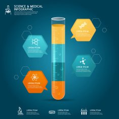 Vector test tube glass education chemistry infographic concept