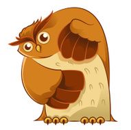 Old owl N2