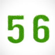 5 6 number with grass textured isolated white background vector
