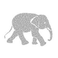 Vector image of an elephant design N5
