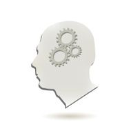 Brain Gears N2