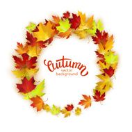 Vector frame with colorful autumn leaves card template natural backdrop