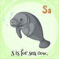 letter s N67