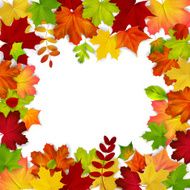 Frame composed of colorful autumn leaves