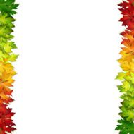 Vector background decorated with colorful autumn leaves card banner N2