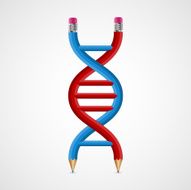 3D creative Icon DNA from pencils