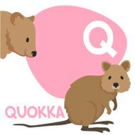 Funny cartoon animals vector alphabet letter set for kids Q