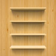 Shelves N21