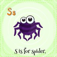Spider N11