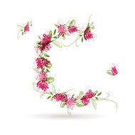 Floral letter C for your design