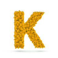 3d yellow leaves alphabet K