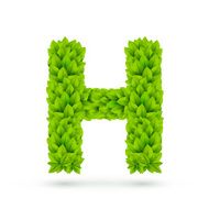 3d green leaves alphabet H