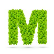 3d green leaves alphabet M