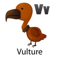 Alphabet V with vulture