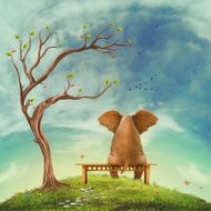 Elephant on a bench in the field