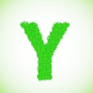 grass letter Y