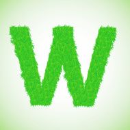 grass letter W