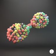 3d vector illustration