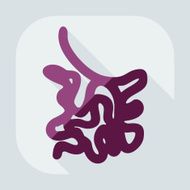 Flat modern design with shadow icons small intestine N10