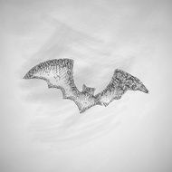 bat icon N16