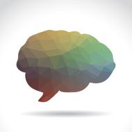 Brain N18