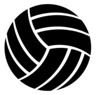Volleyball Ball N10