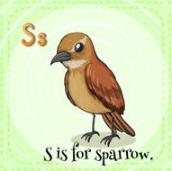 letter s N69