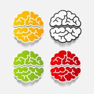 realistic design element brain