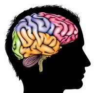Brain silhouette concept