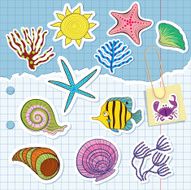 elements of the sea bottom shells and fish