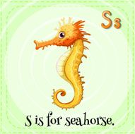 letter s N70
