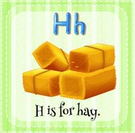 Letter H for hay