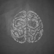 Brain Icon N27