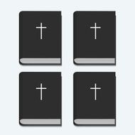 Vector bible on white background N2