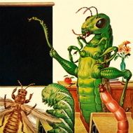 Insect Classroom N2