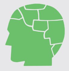Segmented Brain