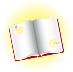 blank book N3