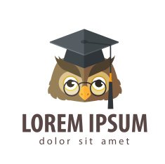 school college university vector logo design template education schooling or N3