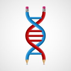 3D creative Icon DNA from pencils